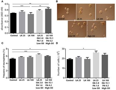 Safflower Seed Oil, Containing Oleic Acid and Palmitic Acid, Enhances the Stemness of Cultured Embryonic Neural Stem Cells through Notch1 and Induces Neuronal Differentiation